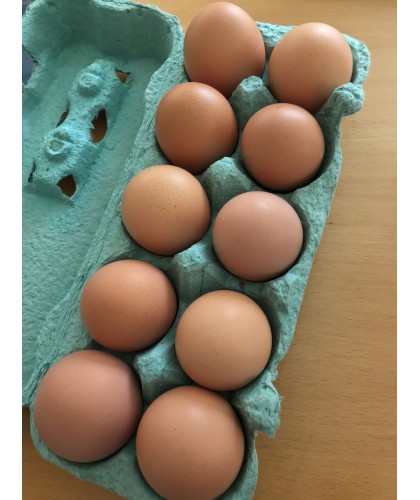 Eier aus Freilandhaltung, unsortiert 10er Karton