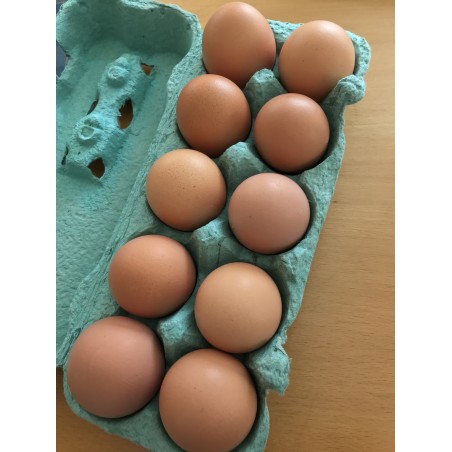 Eier aus Freilandhaltung, unsortiert 10er Karton